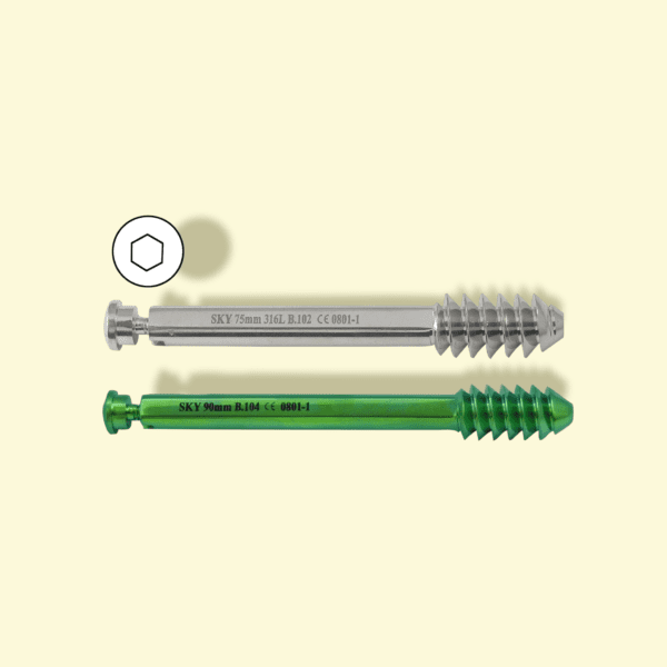 Dynamic Hip Screw (D.H.S) Pediatric